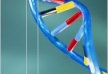 Rodzaje wynalazków biotechnologicznych